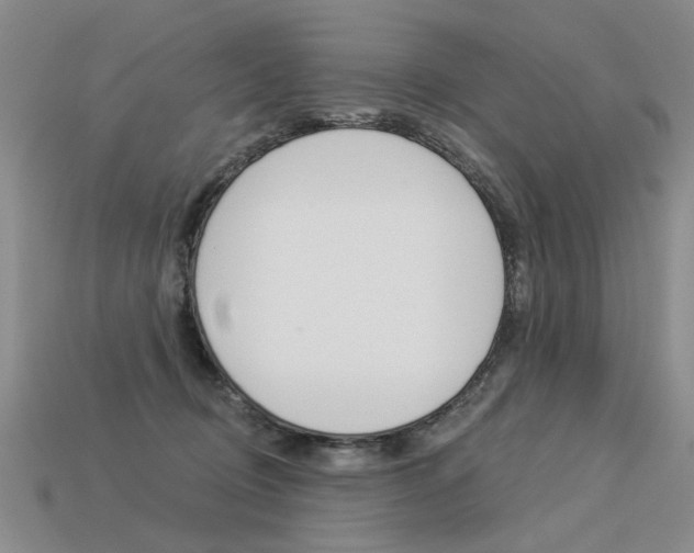 X0000113550370200909181004