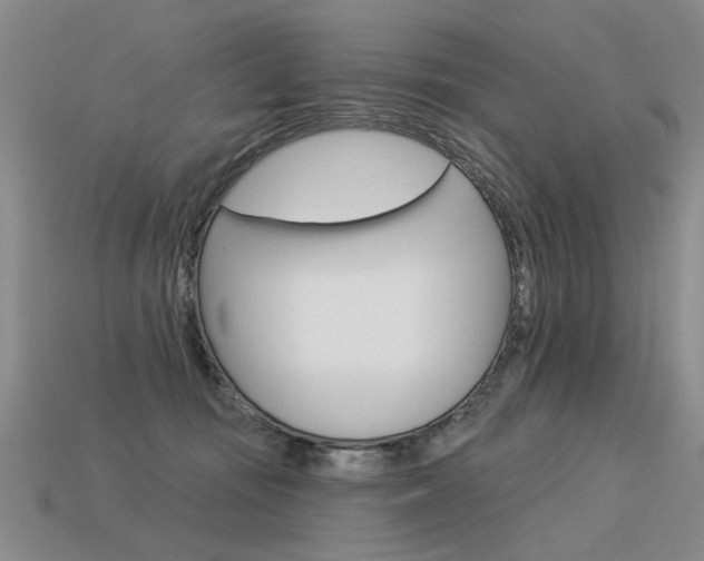 X0000113550371200909181004
