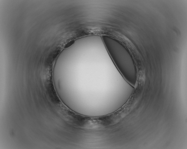 X0000113550372200909181004