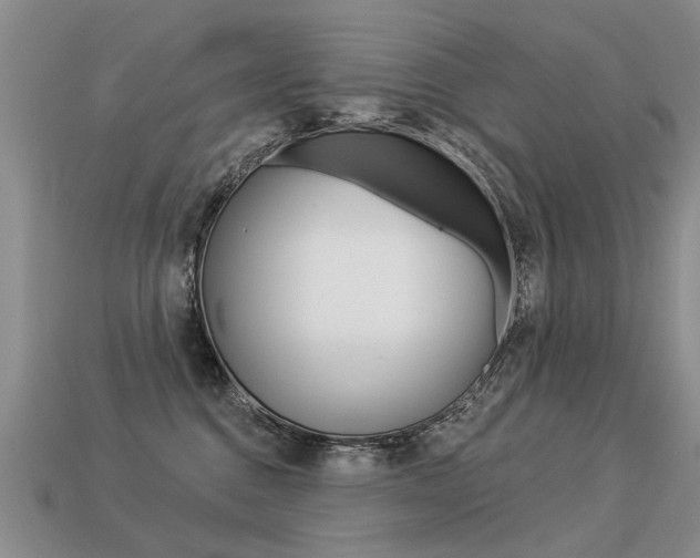 X0000113550376200909181004