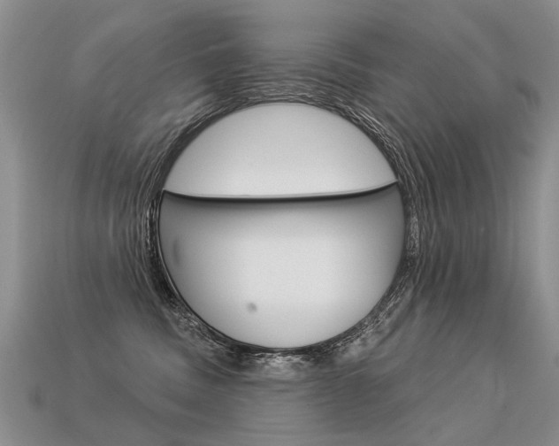 X0000113550379200909181004