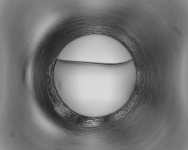 X0000113550381200909181004