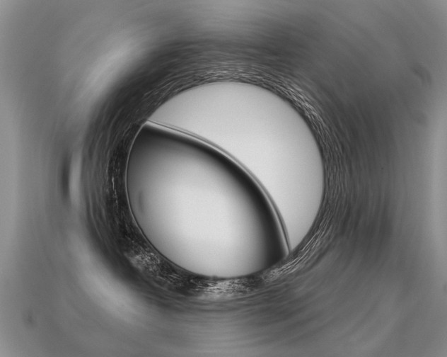 X0000113550382200909181004