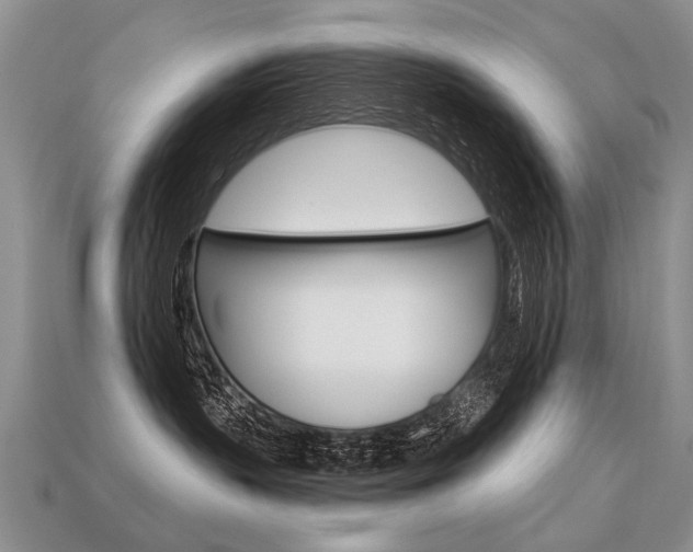 X0000113550383200909181004