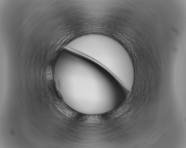 X0000113550384200909181004