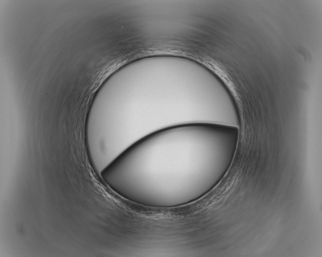 X0000113550385200909181004