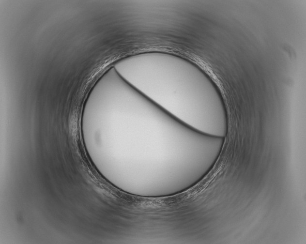 X0000113550386200909181004