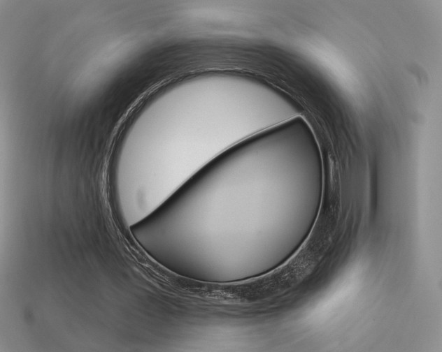 X0000113550387200909181004