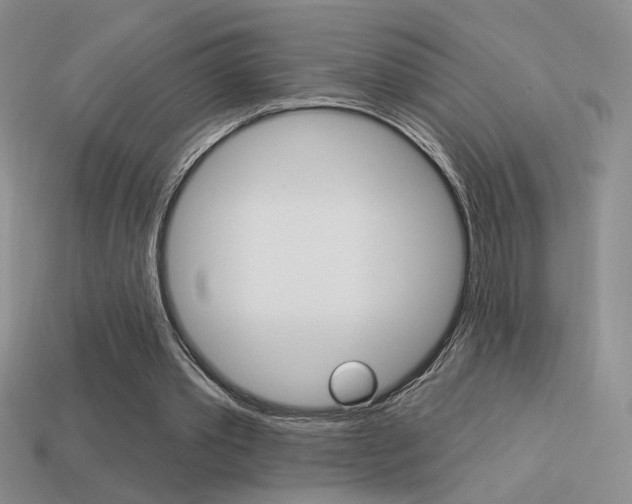 X0000113550389200909181004