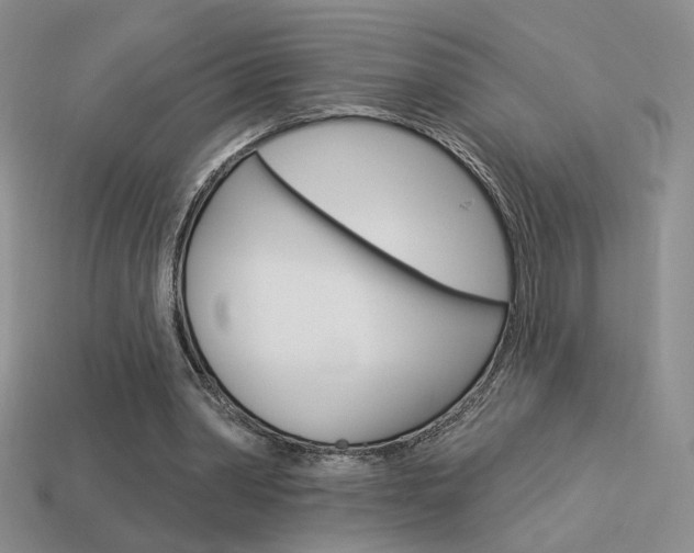 X0000113550390200909181004
