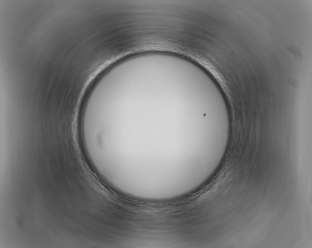X0000113550391200909181003