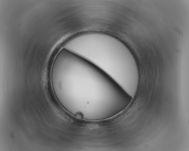 X0000113550392200909181003