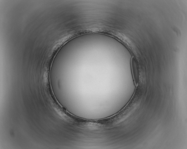 X0000113550393200909181003