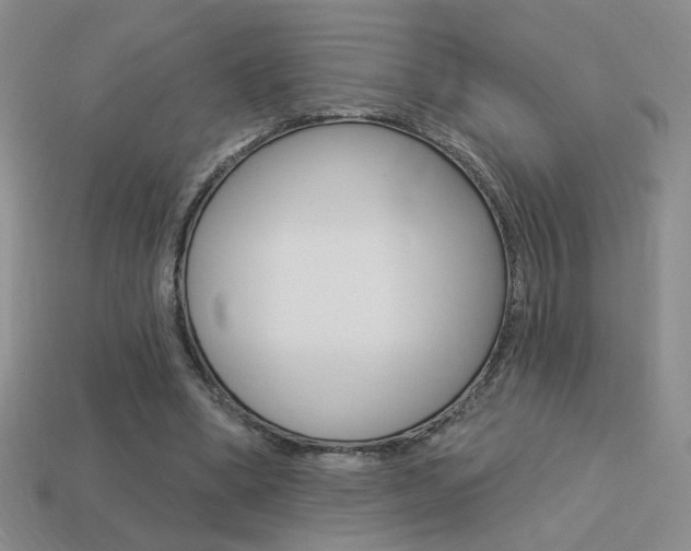 X0000113550394200909181003