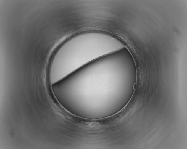 X0000113550395200909181003