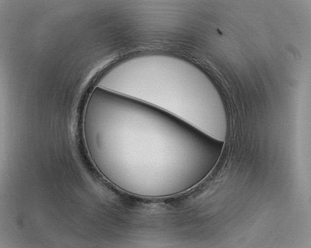 X0000113550396200909181003