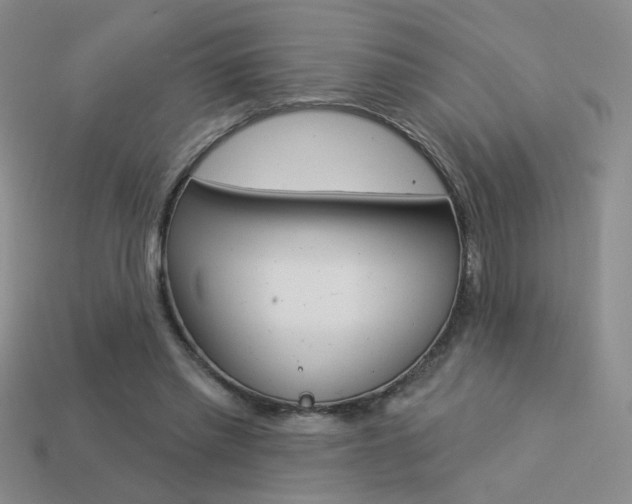 X0000113550397200909181003