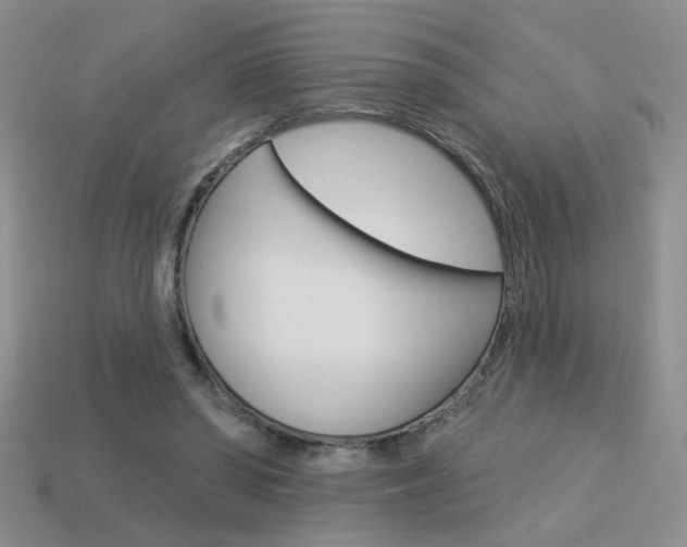 X0000113550398200909181003