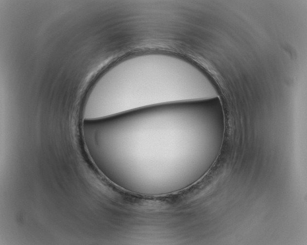 X0000113550399200909181003