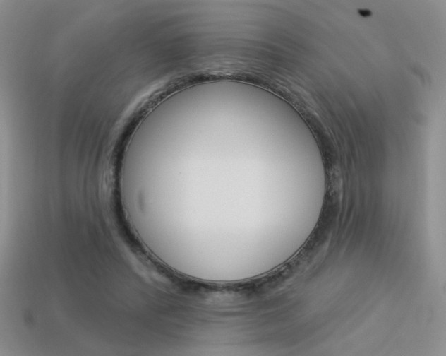 X0000113550400200909181003