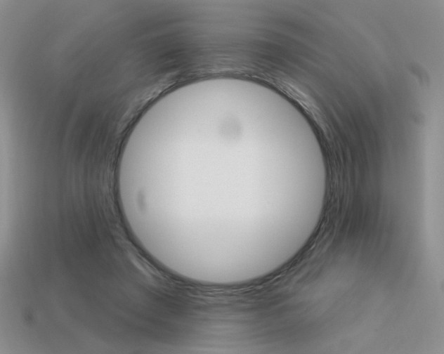 X0000113550401200909181003