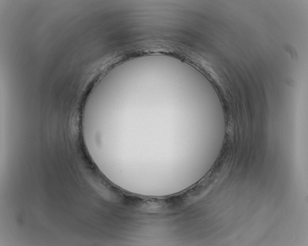 X0000113550402200909181003