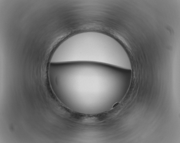 X0000113550403200909181003