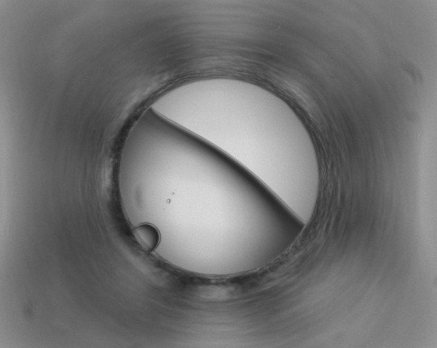 X0000113550404200909181003