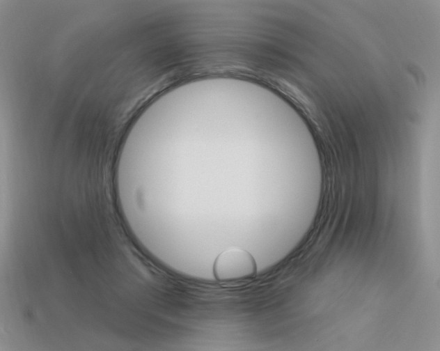 X0000113550405200909181003
