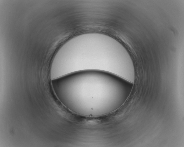 X0000113550407200909181003