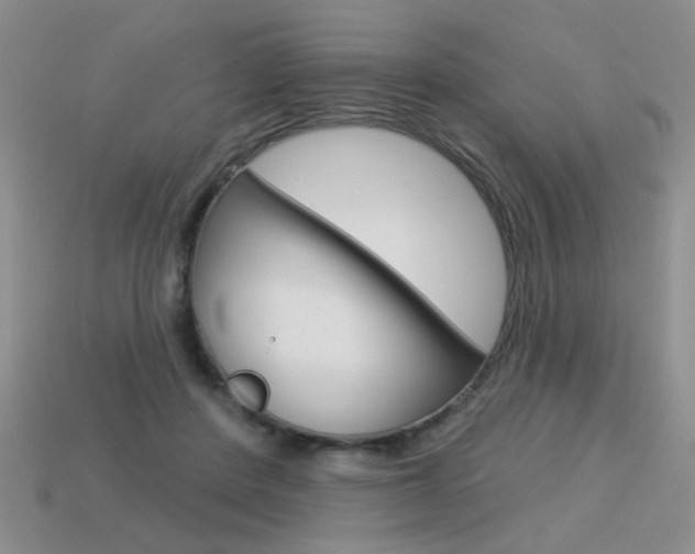 X0000113550408200909181003