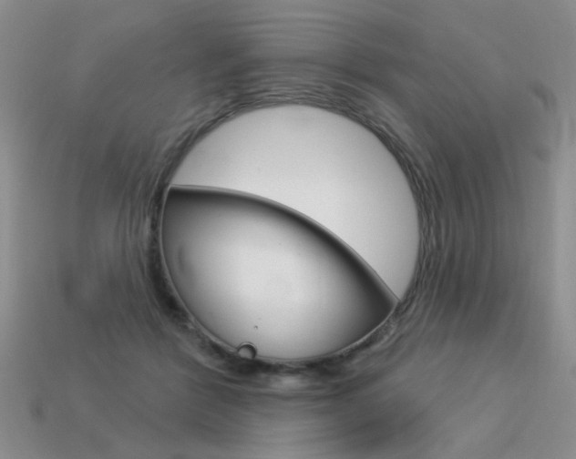 X0000113550412200909181003