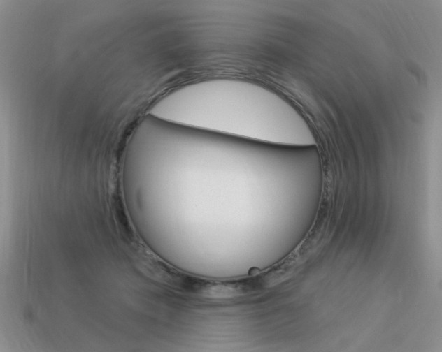 X0000113550413200909181003