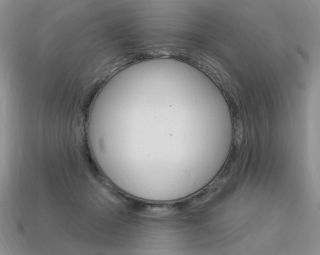 X0000113550414200909181003