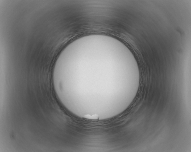 X0000113550415200909181003