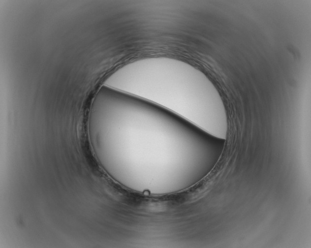 X0000113550416200909181003