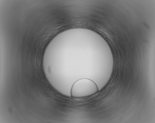 X0000113550417200909181003