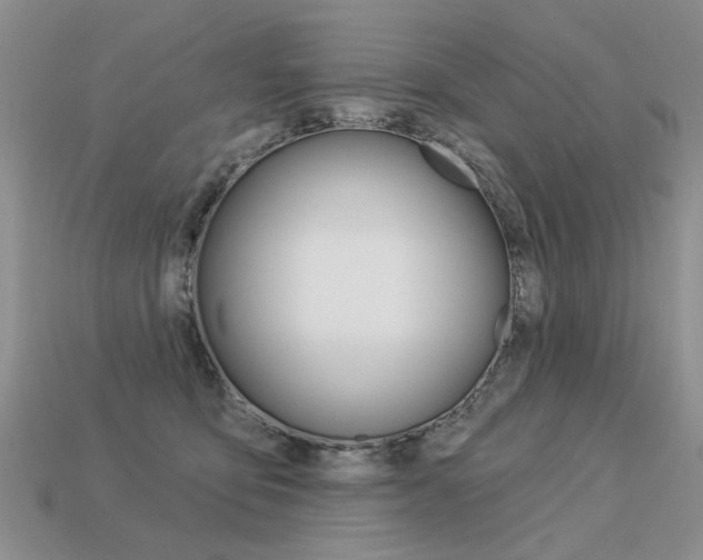 X0000113550419200909181003