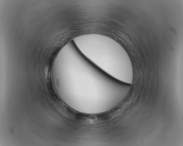 X0000113550420200909181003