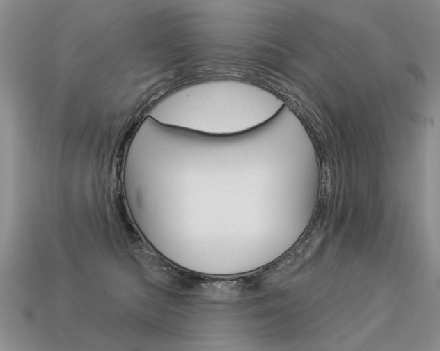 X0000113550422200909181003