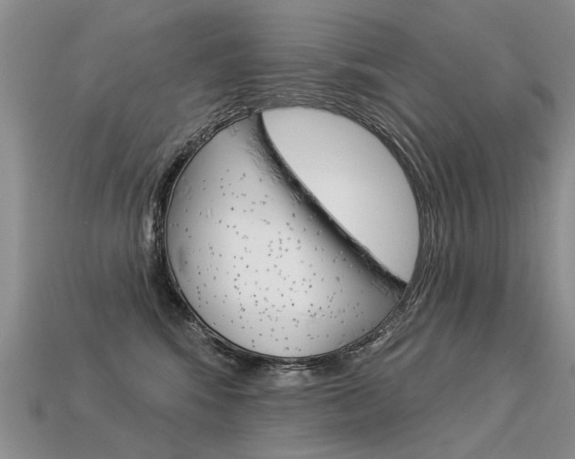 X0000113550424200909181003