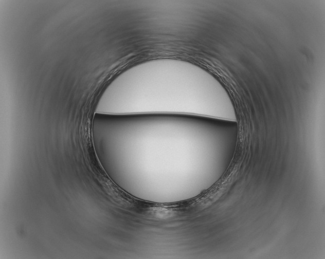 X0000113550425200909181003