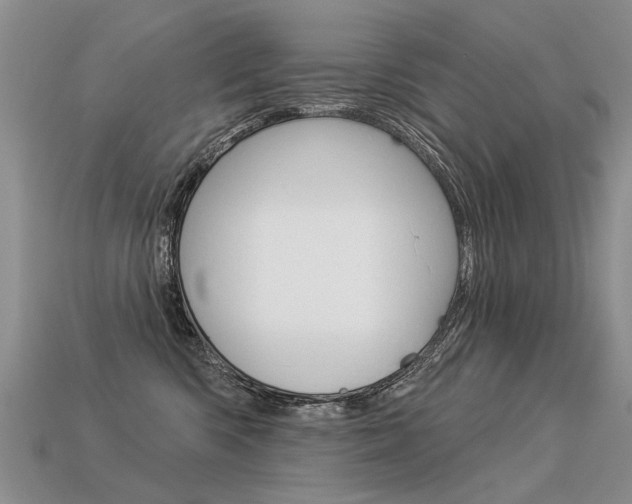 X0000113550426200909181003