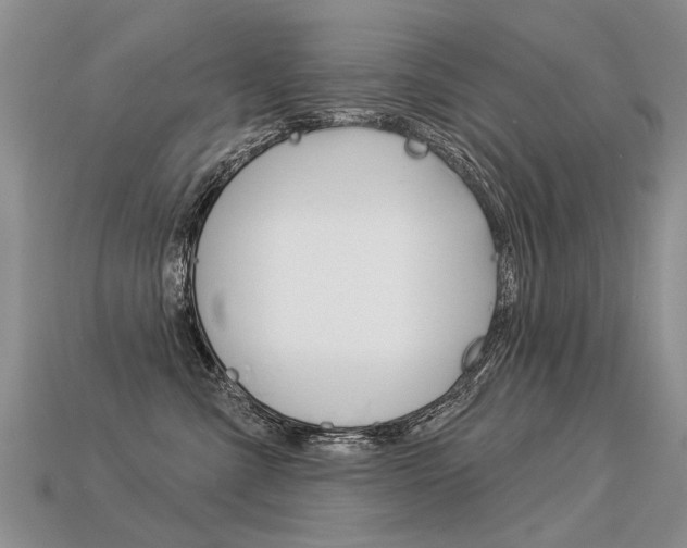 X0000113550427200909181003