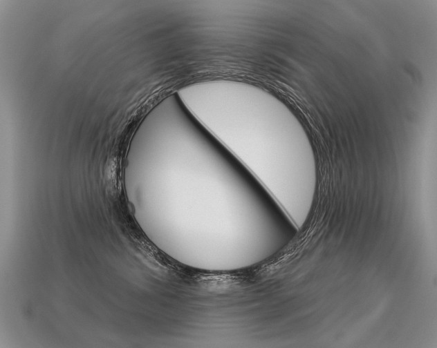 X0000113550428200909181003