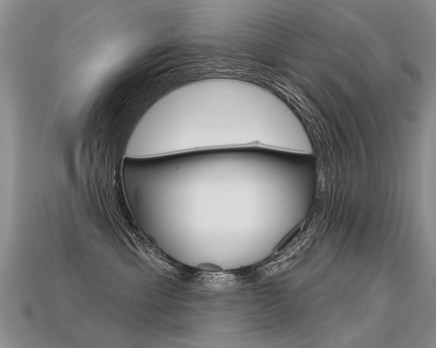 X0000113550429200909181003