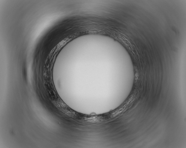 X0000113550430200909181003