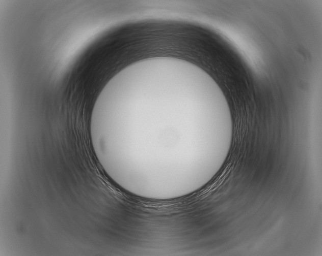 X0000113550431200909181003
