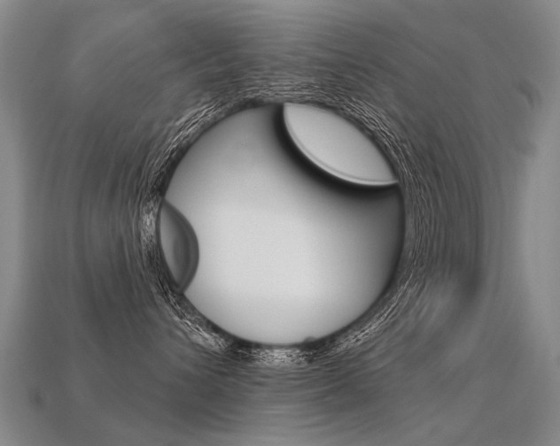 X0000113550432200909181003