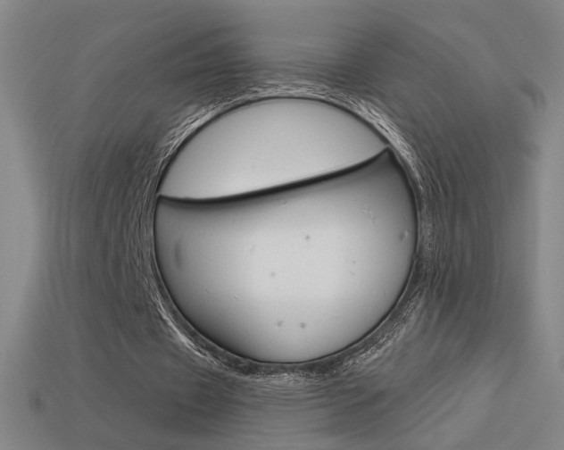 X0000113550433200909181002